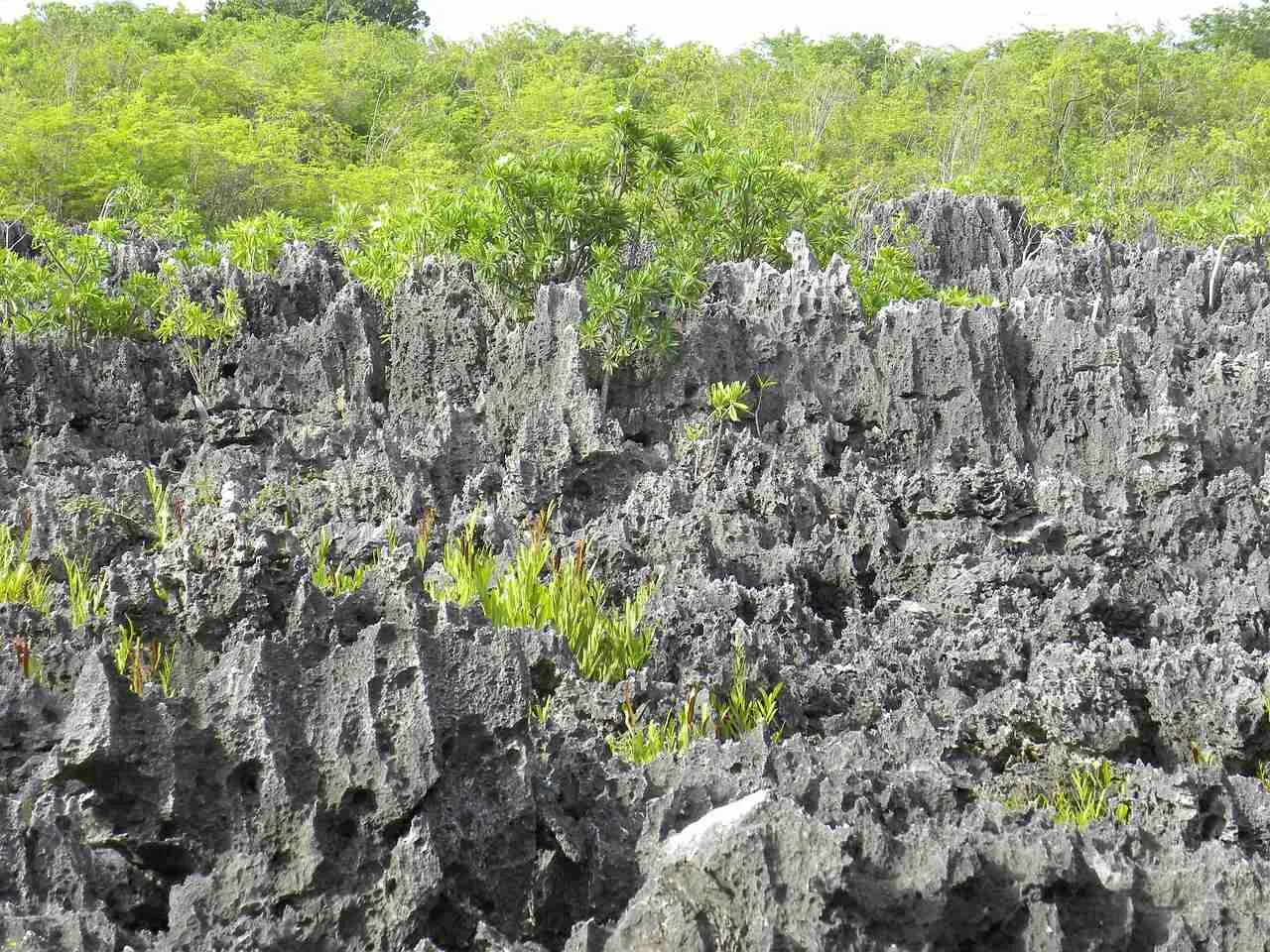 亚美尼亚律师 | 开曼居住权