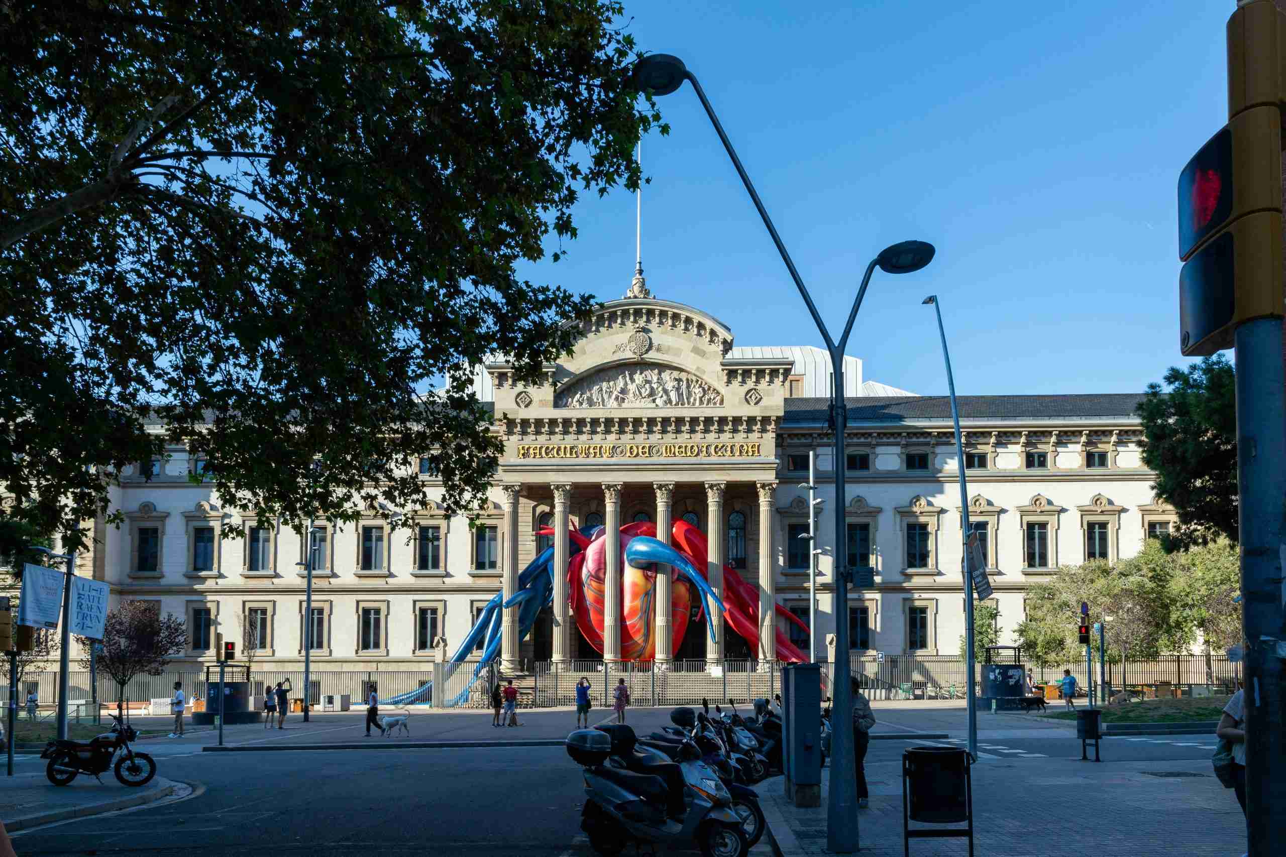 Pexels-雷纳托-罗卡-2397962-22941022