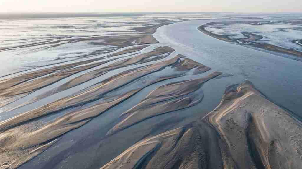Aerial view of braided river channels merging into one wide waterway across pale sandbars at dawn